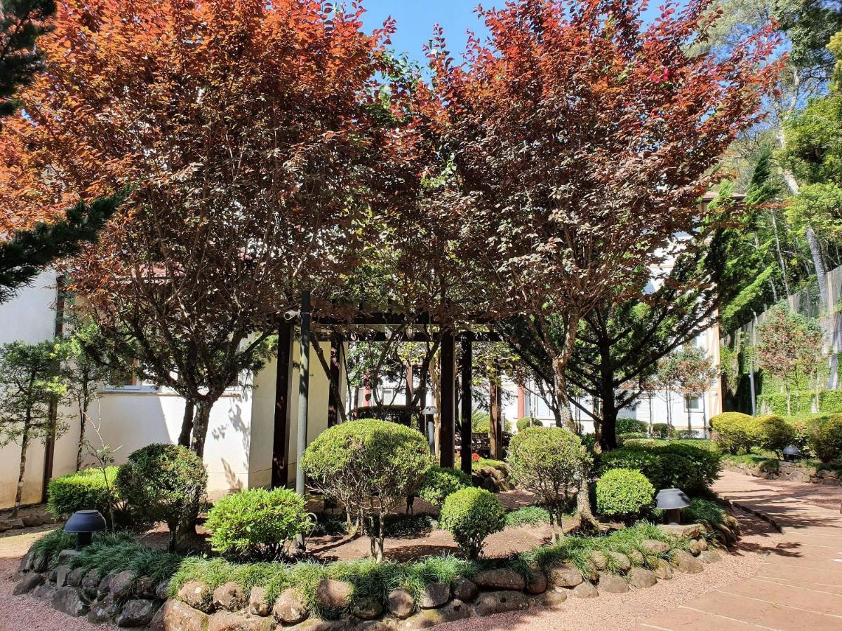 Apto No Centro De Gramado Com Piscina Termica Exterior foto